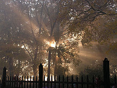 photo "Pleasure Of New Day"