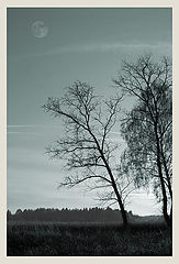 photo "View with the moon"
