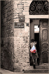 photo "Akko. TOMATOS"