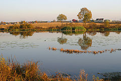 photo "Smile of the Autumn"