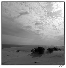 photo "dunes"