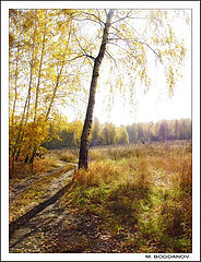 photo "The last sun day"