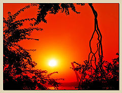 photo "**"