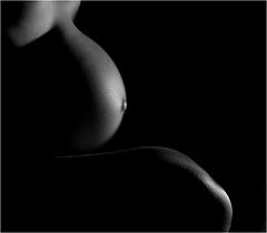 фото "Figure #2"