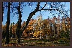 photo "Autumn"