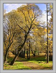 photo "One side love"