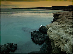 photo "waiting for..."