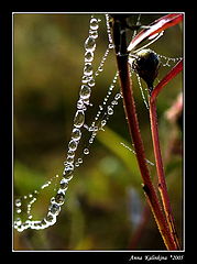 photo "Jeweller workshop"