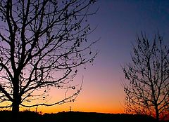 photo "Rural sunset"