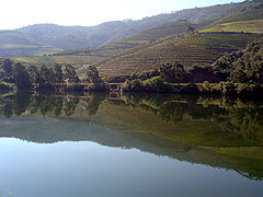 photo "Douro IV"