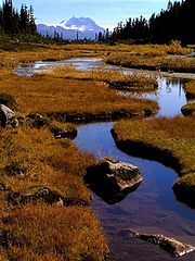 photo "Brandywine Meadows"