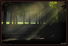 photo "misty day"