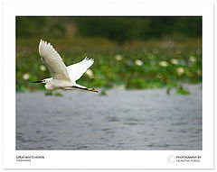photo "Edge of the lens :)"