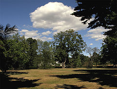 фото "Summertime"