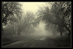 photo "invitation"