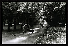 фото "на бульваре"