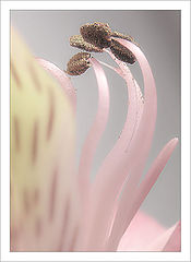 photo "Untitled photo"