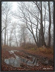 photo "***"