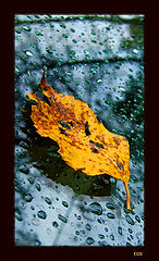 photo "Ver 2"