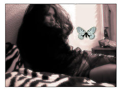 фото "The Lost Butterfly"