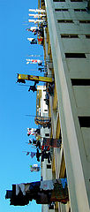 photo "Hang Out"