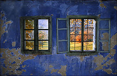photo "windows 1"