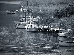photo "The Creek"