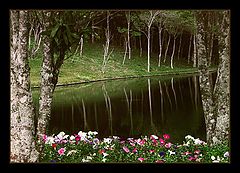 photo "Frame of the Nature"