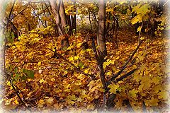 photo "Autumn disgrace"