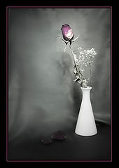 photo "***"