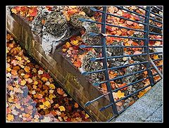 фото "Осень в парке #1"