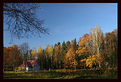 photo "Autumn into Abramtsevo (cont.)"