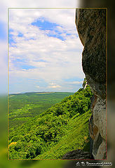 photo "Vertical"