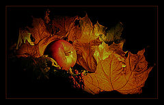 photo "Untitled photo"