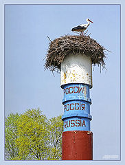 photo "Untitled photo"