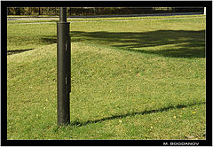 photo "The iron tree"