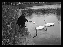 photo "Black and White"