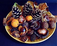 фото ""Autumn's Gifts""