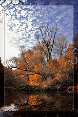 photo "***"
