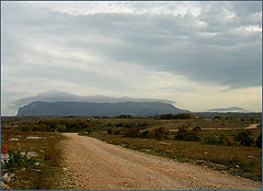 photo "Road"
