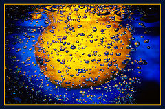photo "Yelow plot on blue"