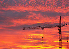 photo "Сrane on sundown"
