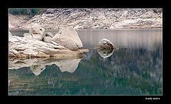 photo "forms of the nature II"