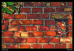 фото "Sincerity"