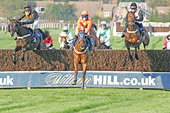 photo "racing action"