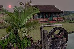 фото "Rural scene"