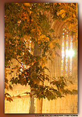 photo "Divine Light"