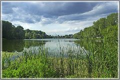 photo "Before the rain"