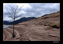 photo "after the water"