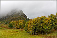 photo "Autumn in mountain"